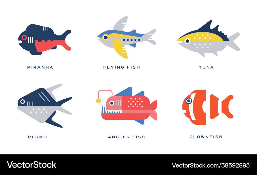 Freshwater and saltwater fish as seafood depicted Freshwater and saltwater fish as seafood depicted vector image