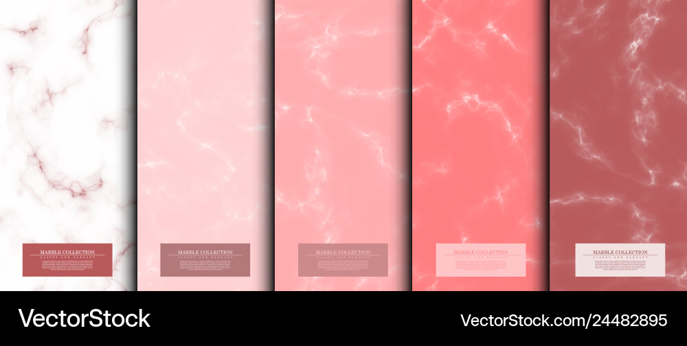 Marble Texture Rose Pattern vector image