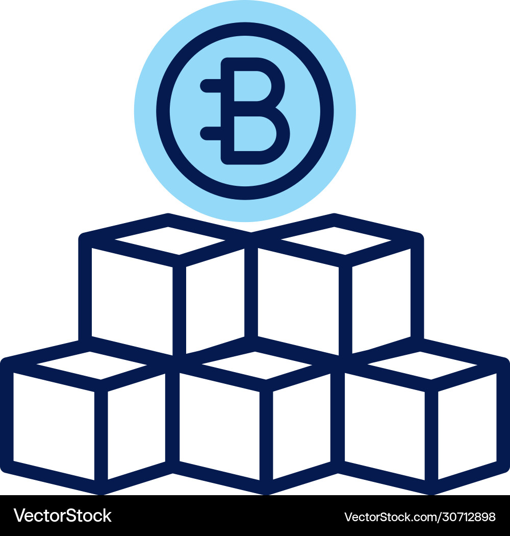 Bitecoin with blocks crypto currency line style Bitecoin with blocks crypto currency line style vector image
