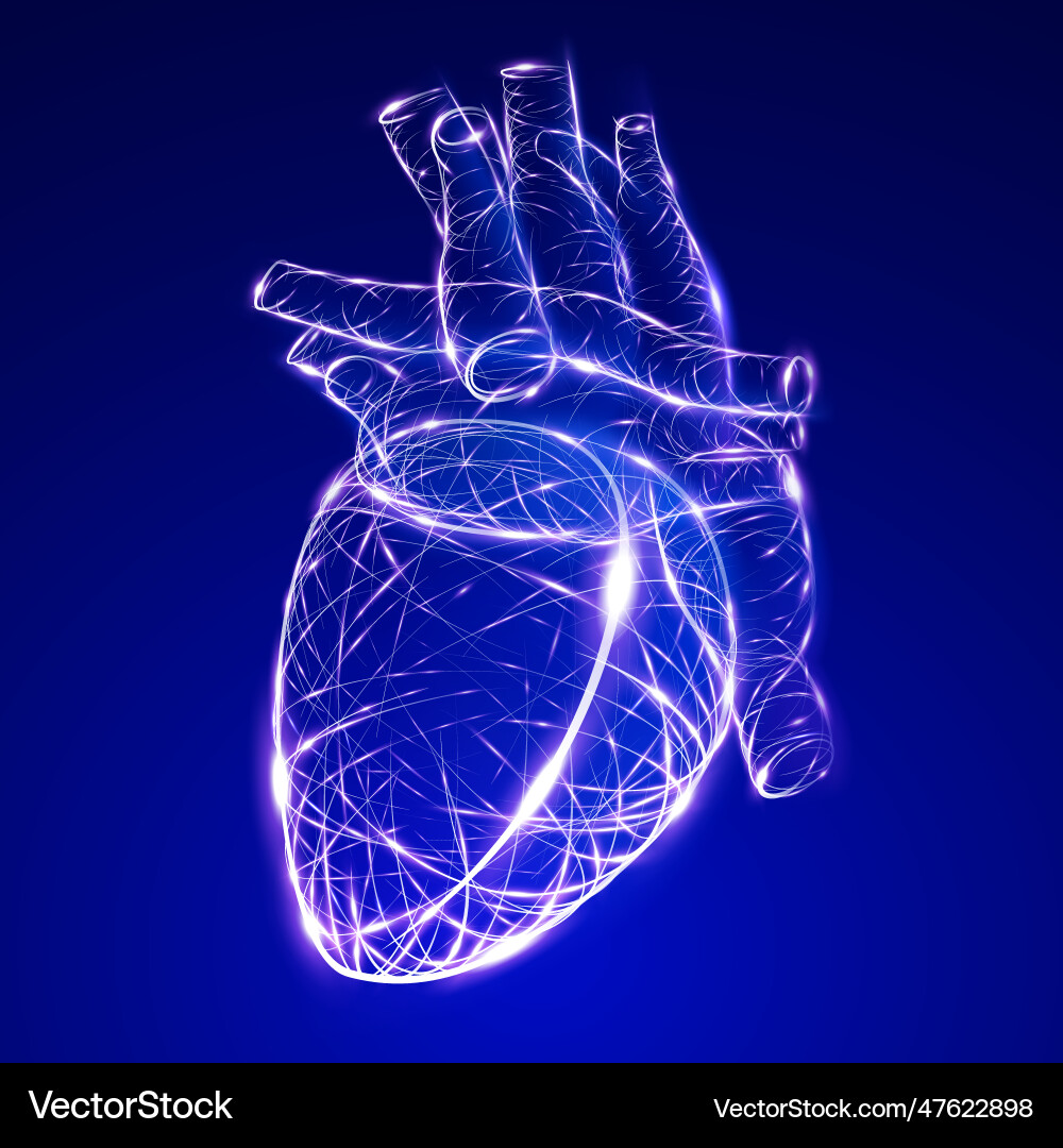 Glowing curved lines in the shape of a heart Glowing curved lines in the shape of a heart vector image