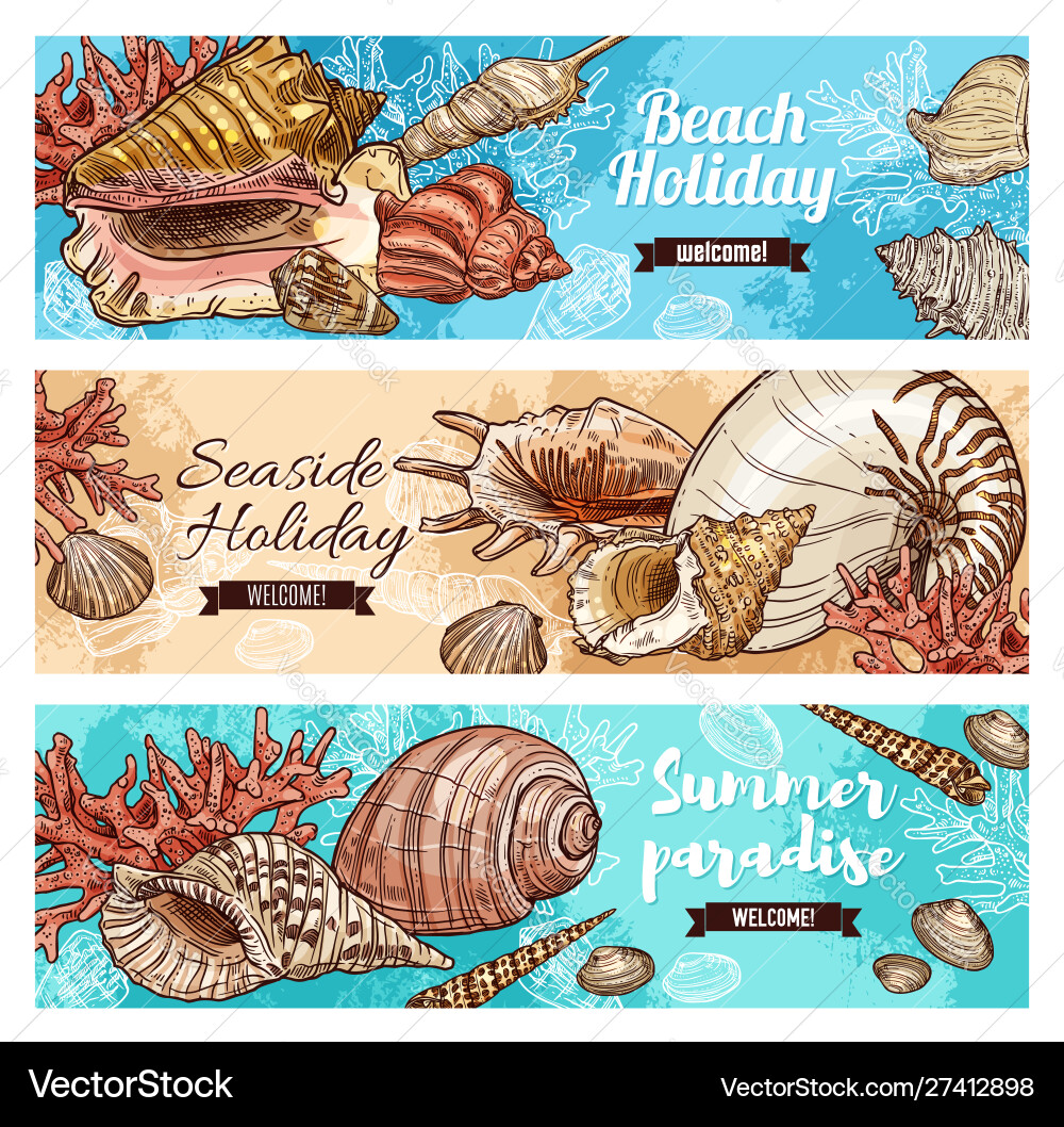 Marine Shells und Coral Beach Vektorbild
