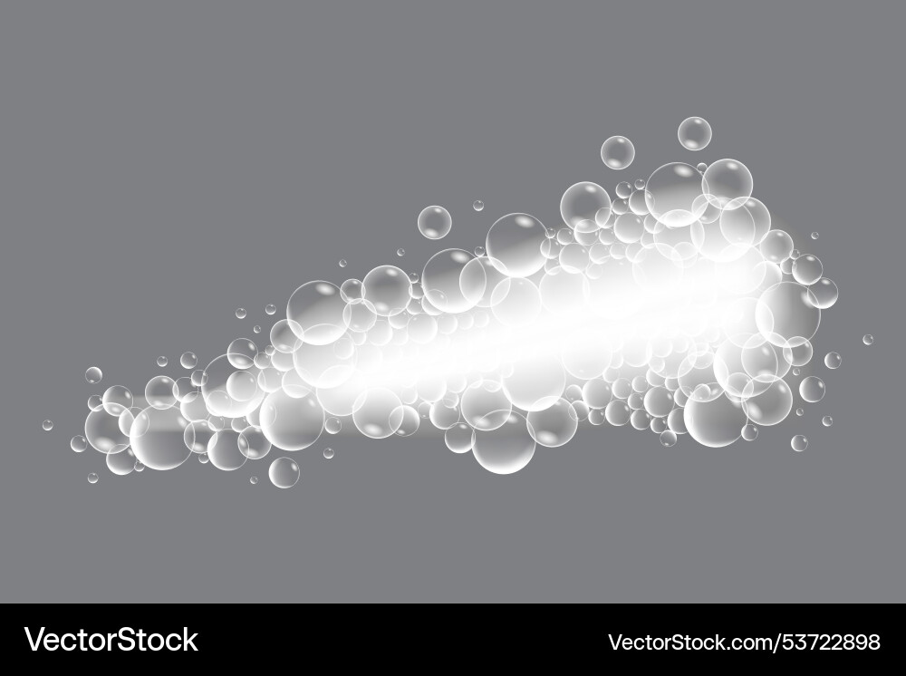 Soap bubbles displaying unique designs Soap bubbles displaying unique designs vector image