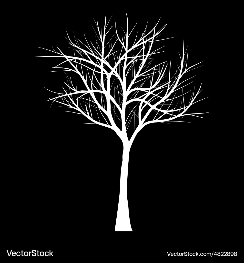 Trees with dead branch Vector Image