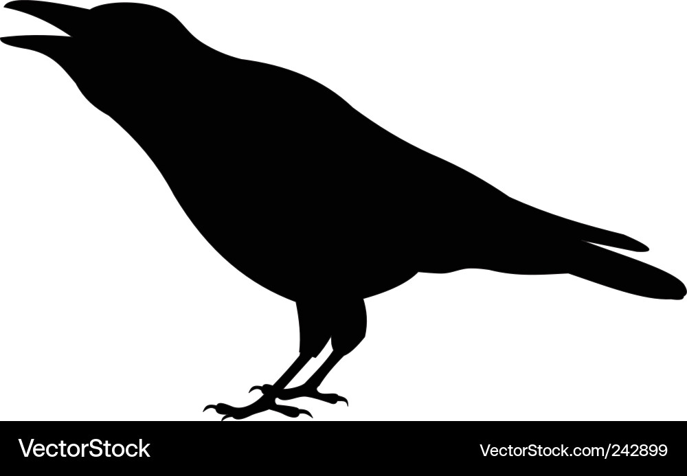 Elegant Raven Silhouette vector image