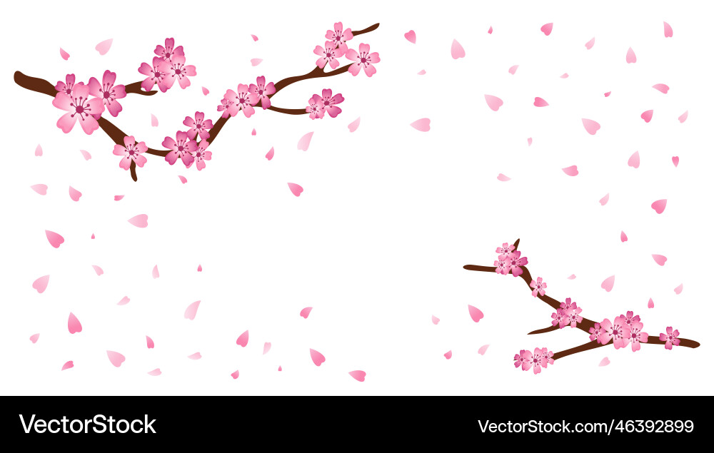 Spring sakura flowers tree blossom japanese pink Spring sakura flowers tree blossom japanese pink vector image