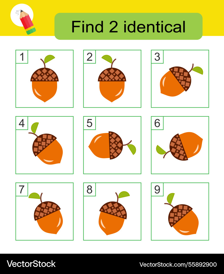 Fun puzzle game need to find two identical vector image