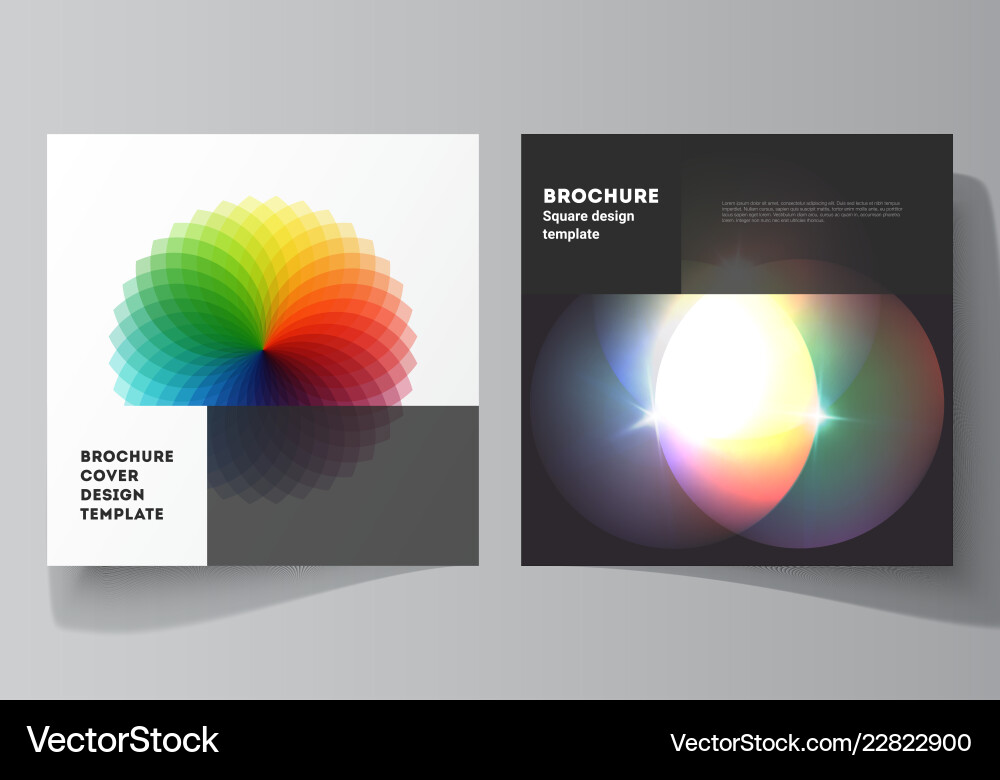 Minimal of editable layout Vector Image