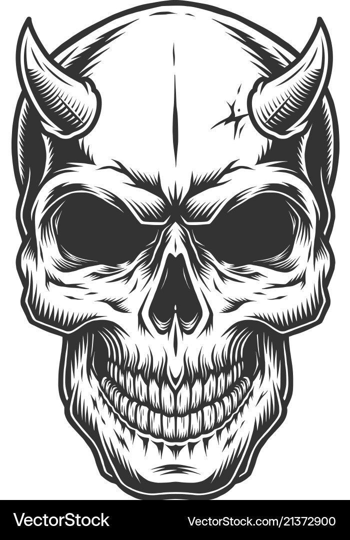 Skull in vintage stule Skull in vintage stule vector image