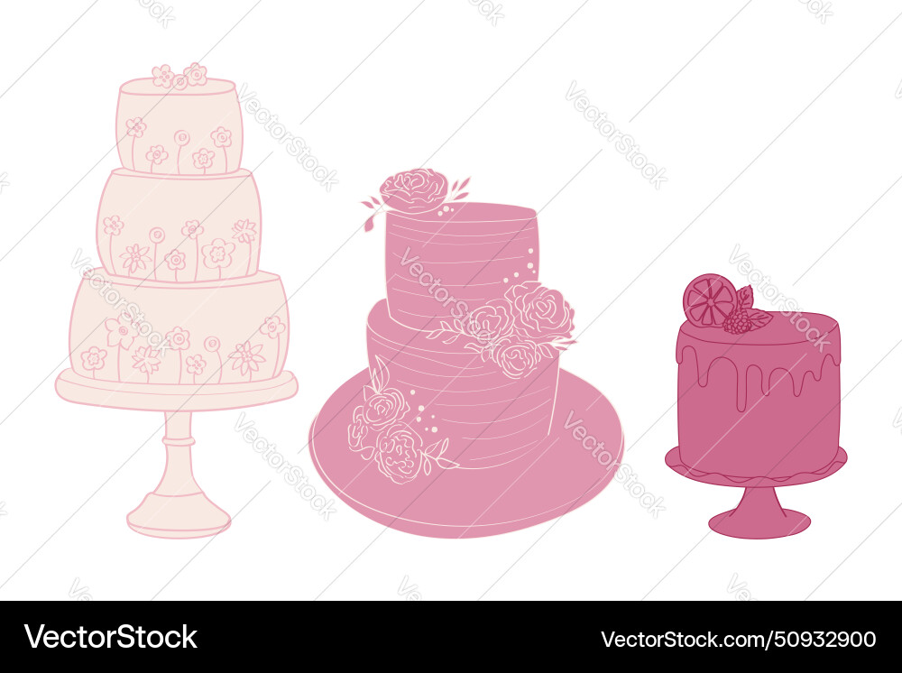Three different types of cakes on a table Vector Image