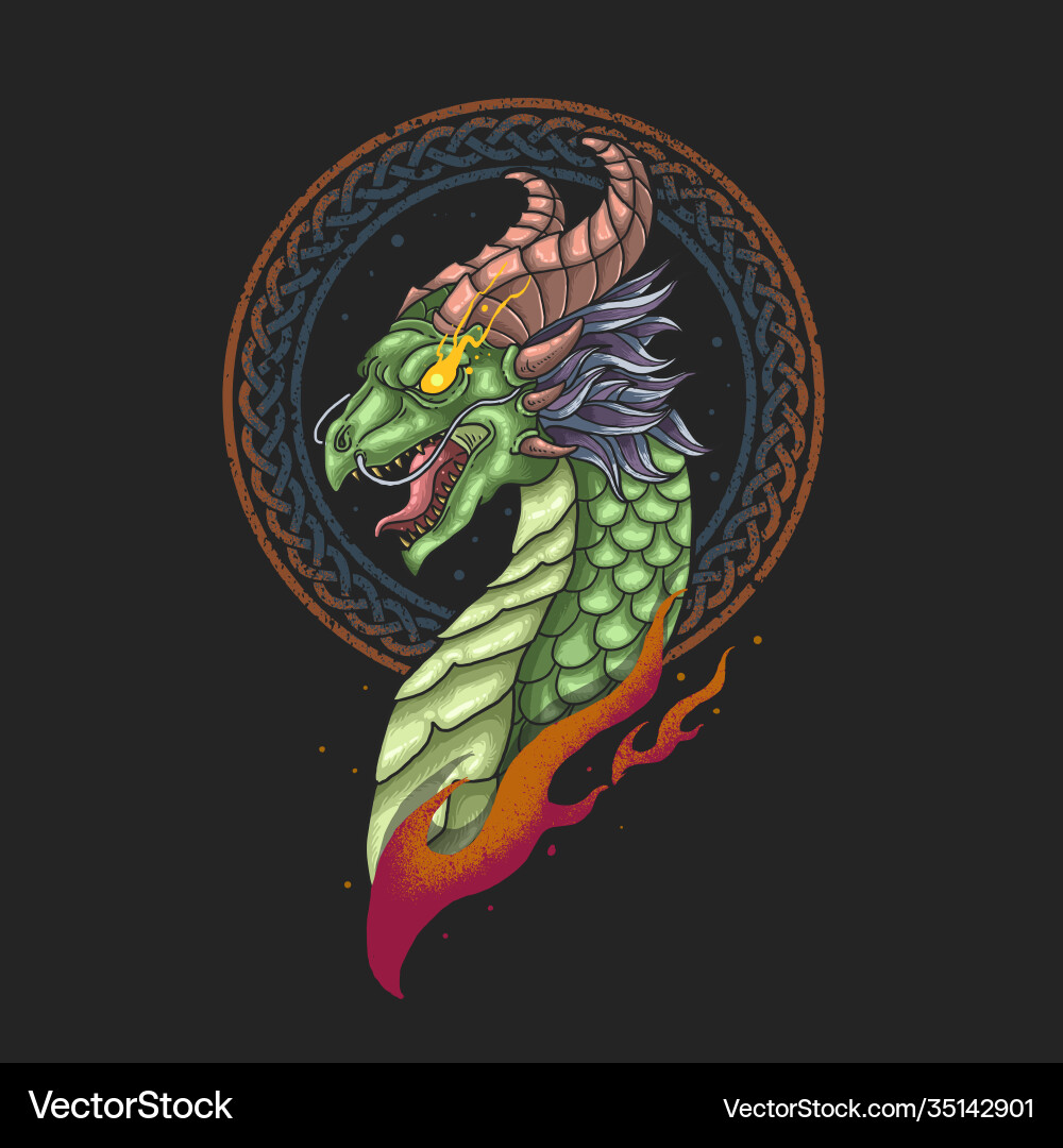 Dragon head nordic viking vector image