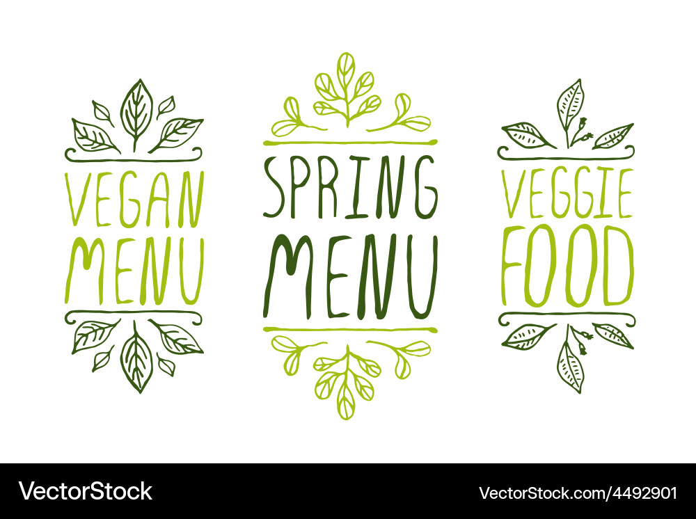 Spring Veggie Menu Elements vector image