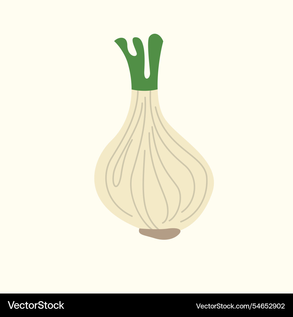 A onion in flat style isolated image A onion in flat style isolated image Vector Image