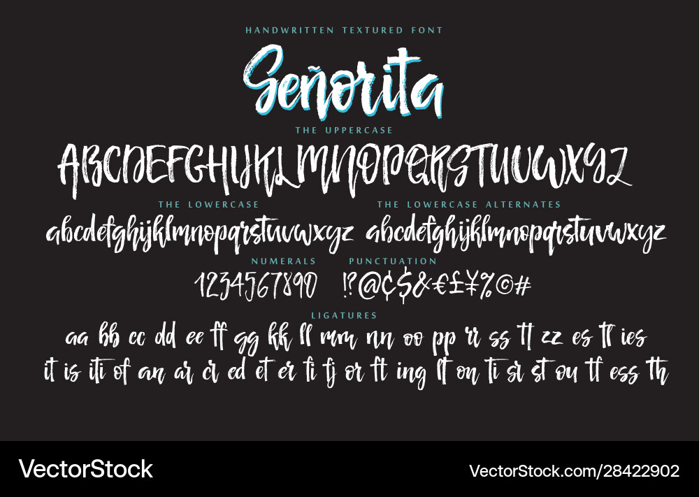 Handwritten script font alphabet senorita Handwritten script font alphabet senorita vector image