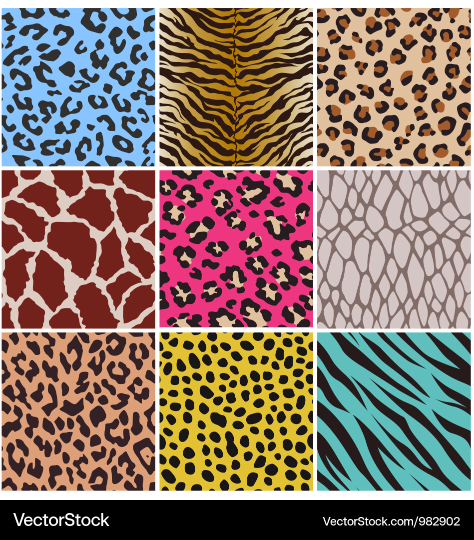 Snake Skin Pattern Vector Images (over 3,400)