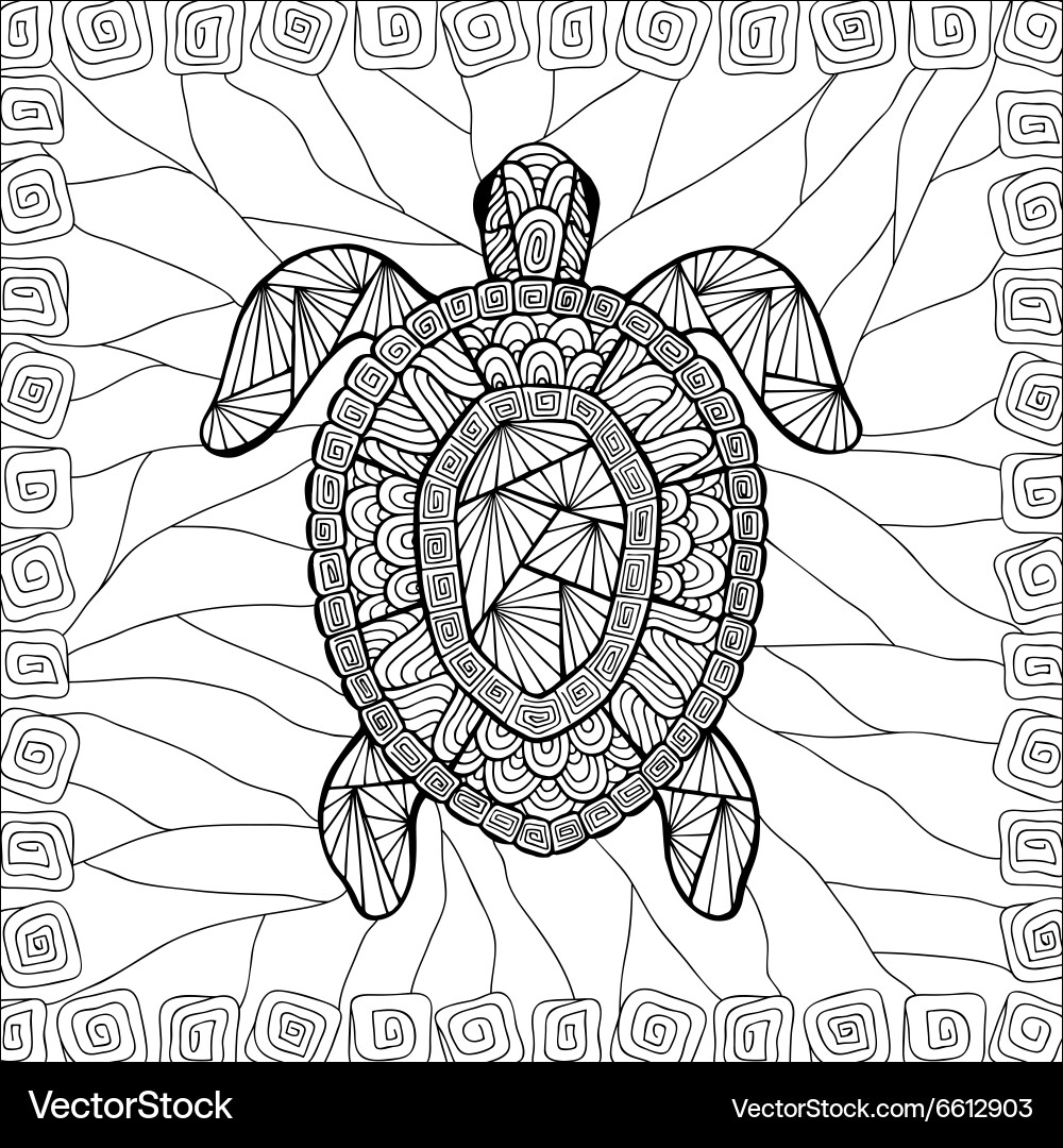 Zentangle Turtle Pattern vector image