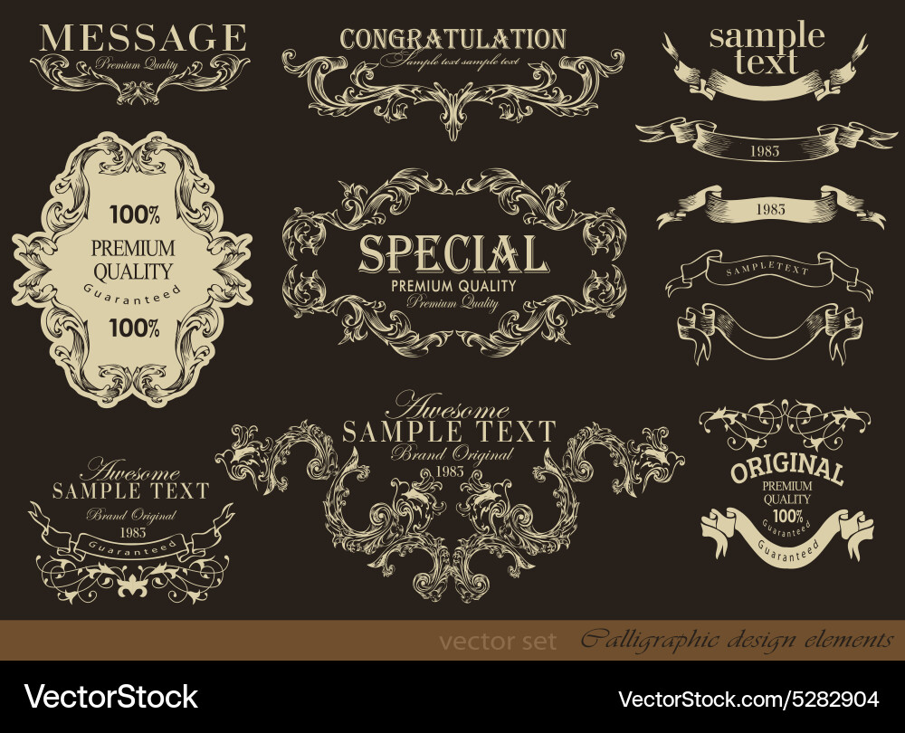 Calligraphic design elements vector image