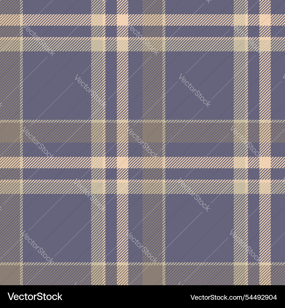 Net texture check textile ornamental pattern vector image