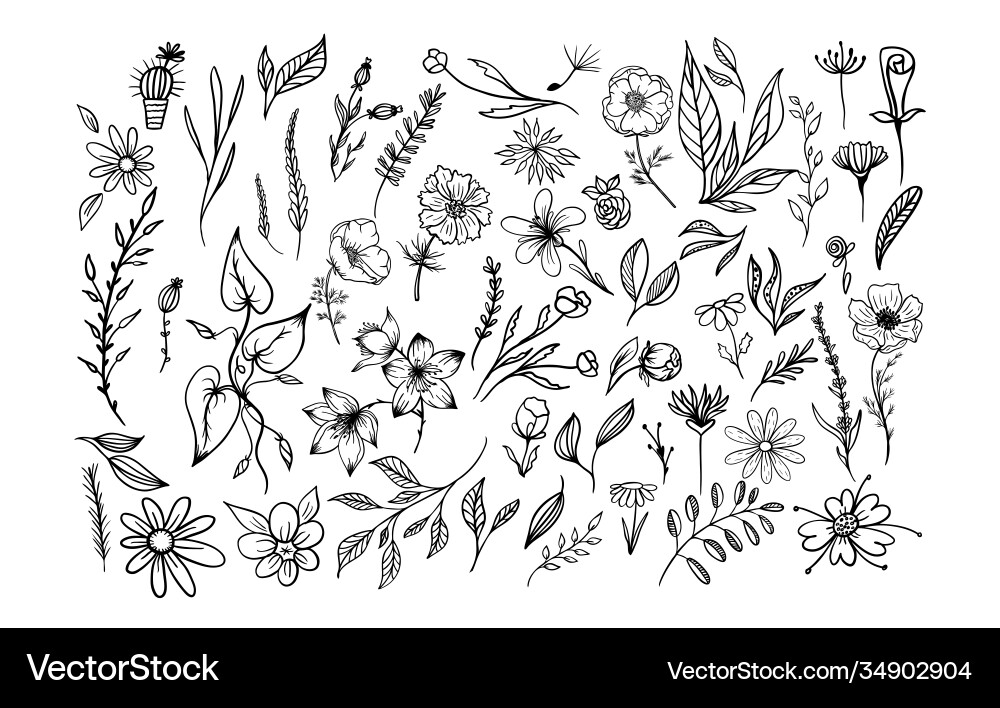 Set abstract flower floral isolated on white Set abstract flower floral isolated on white vector image