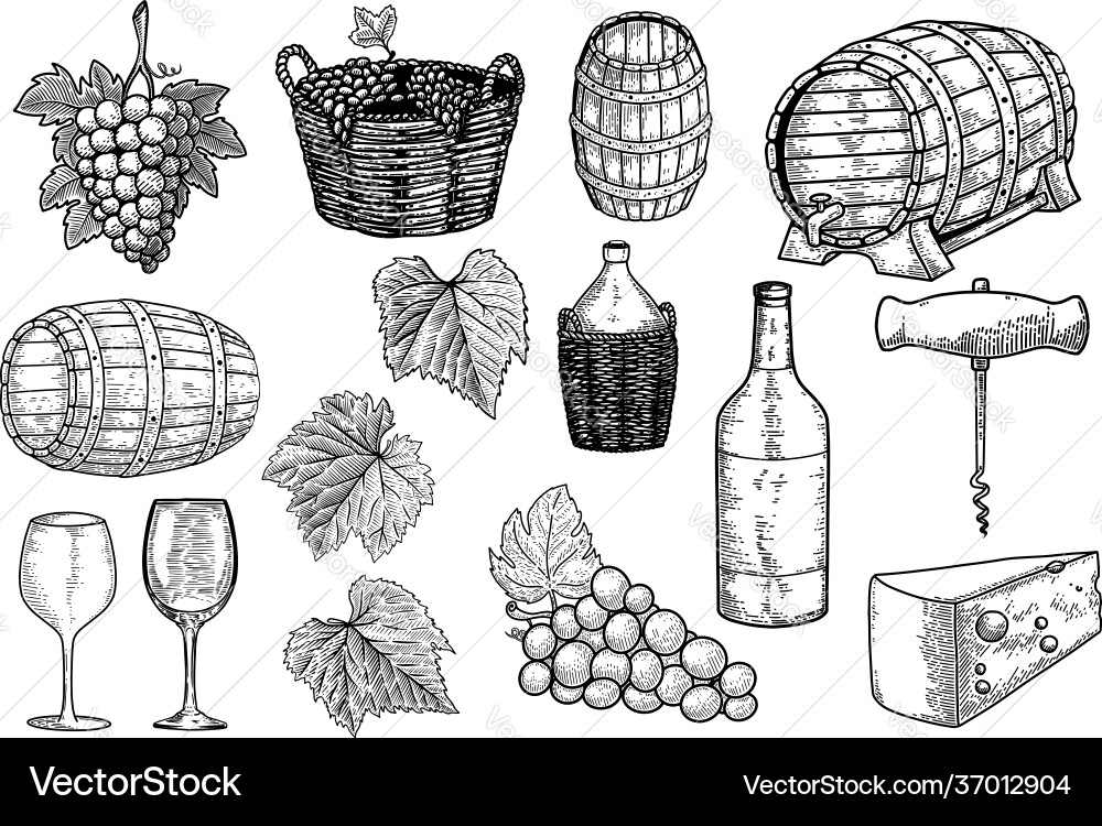 Set winery design elements element Set winery design elements element vector image