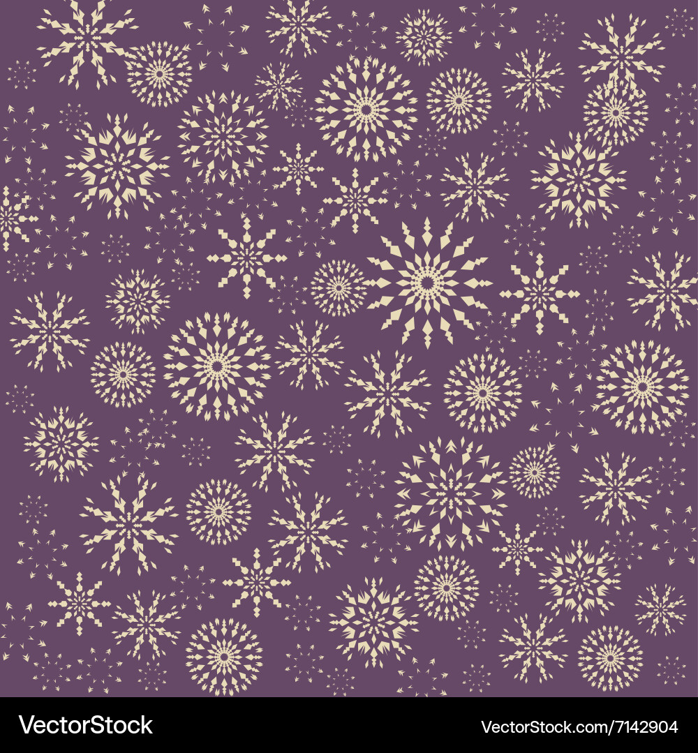 Winter Snowflake Pattern vector image