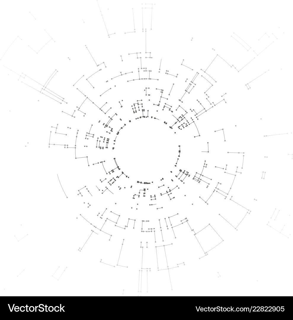 Connected Network Lines and Dots vector image