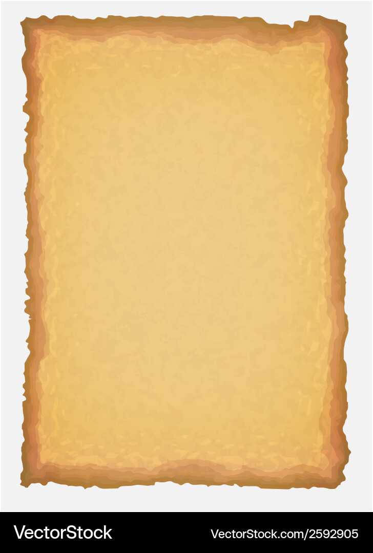 Old Parchment Scroll vector image