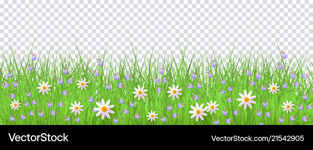 Spring Meadow Floral Border Vector Image
