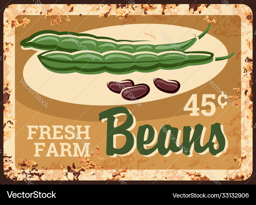 Beans rusty metal plate kidney green vegetables Beans rusty metal plate kidney green vegetables vector image