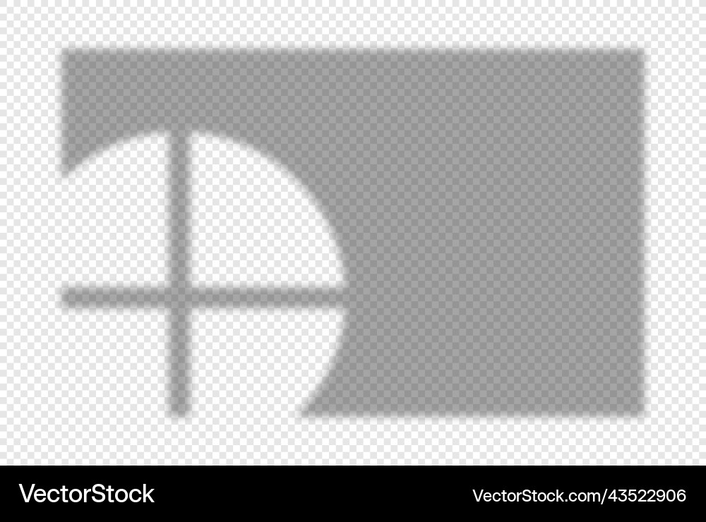Elegant Shadow Patterns Vector Image
