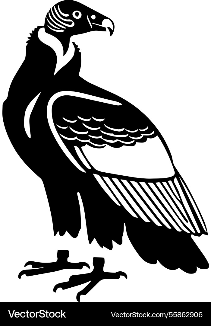Simple icon of a andean condor logo design Simple icon of a andean condor logo design vector image