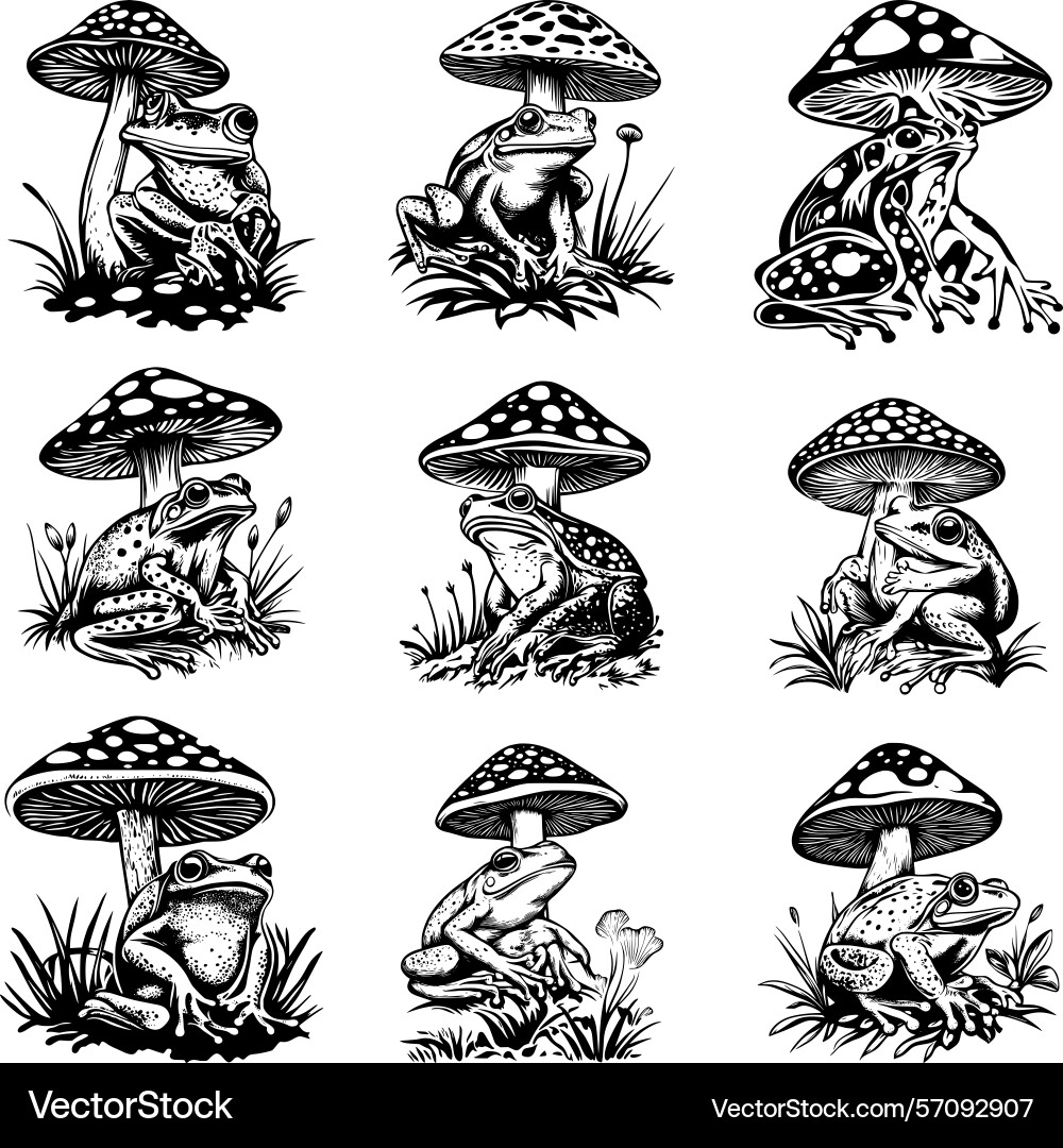 Frog with mushroom svg bundle Vector Image