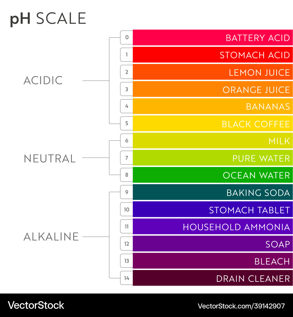Ph value scale chart Ph value scale chart vector image