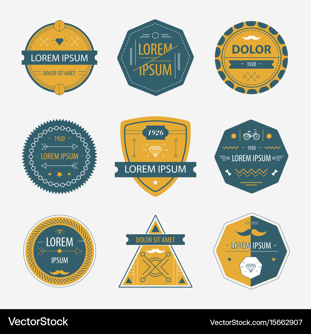 Set of abstract geometric labels icons Vector Image