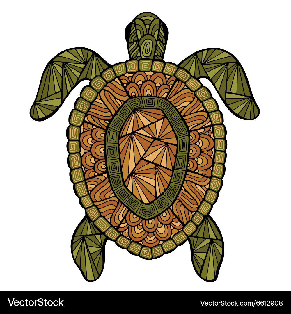 Zentangle Turtle Pattern vector image