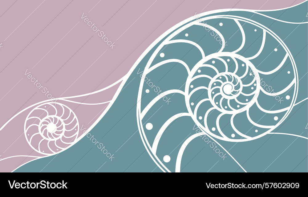 Abstract spiral shell pattern background design vector image