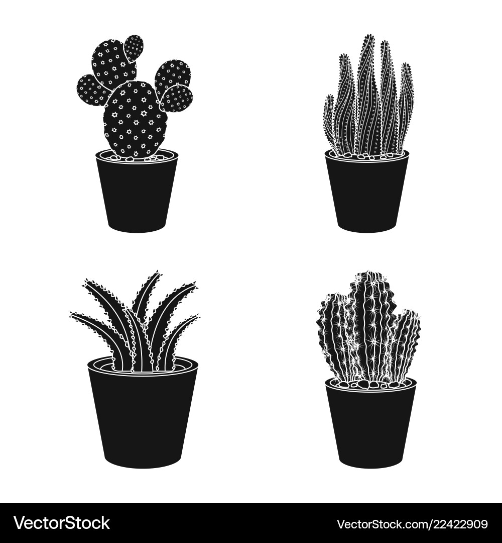 Isolated object of cactus and pot icon set Vector Image