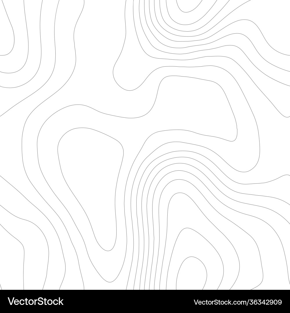 Topographic Line Pattern vector image