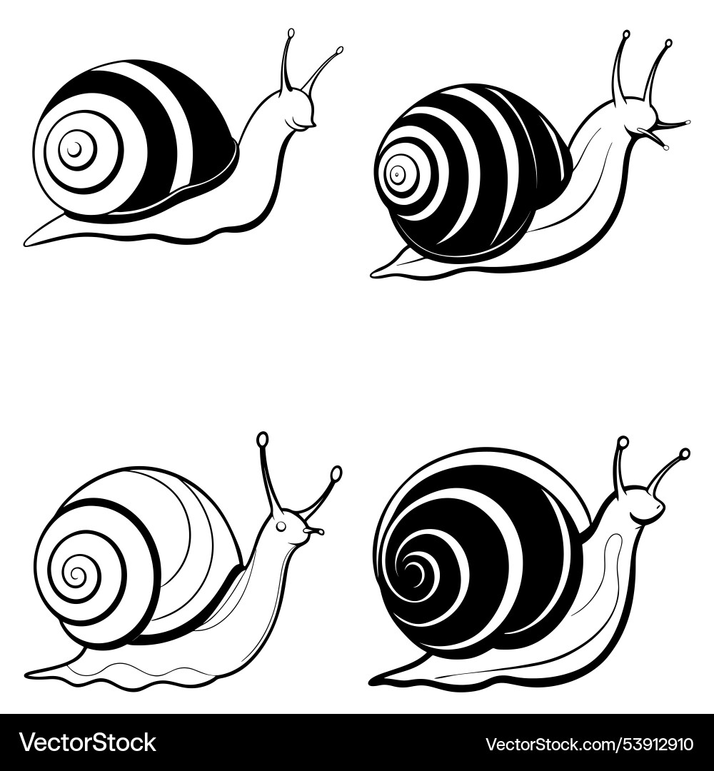3d rendering of dynamic snails silhouette line art 3d rendering of dynamic snails silhouette line art Vector Image