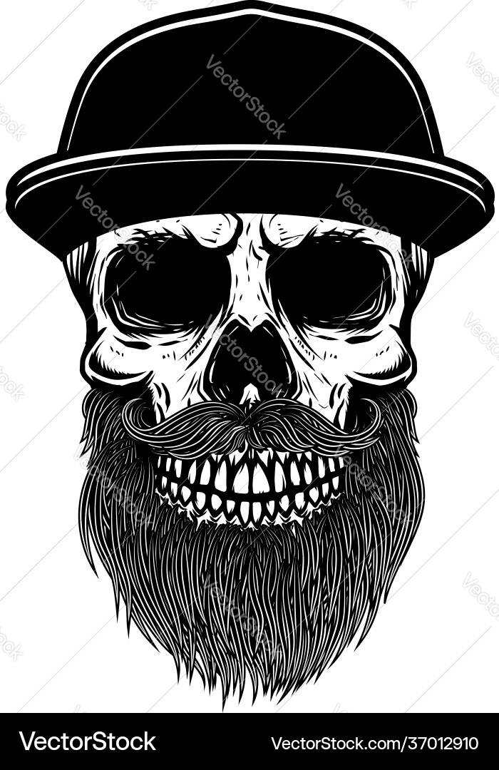 Bearded Skull with Baseball Cap vector image