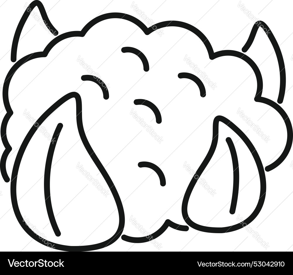 Broccoli crying with tears running down face vector image