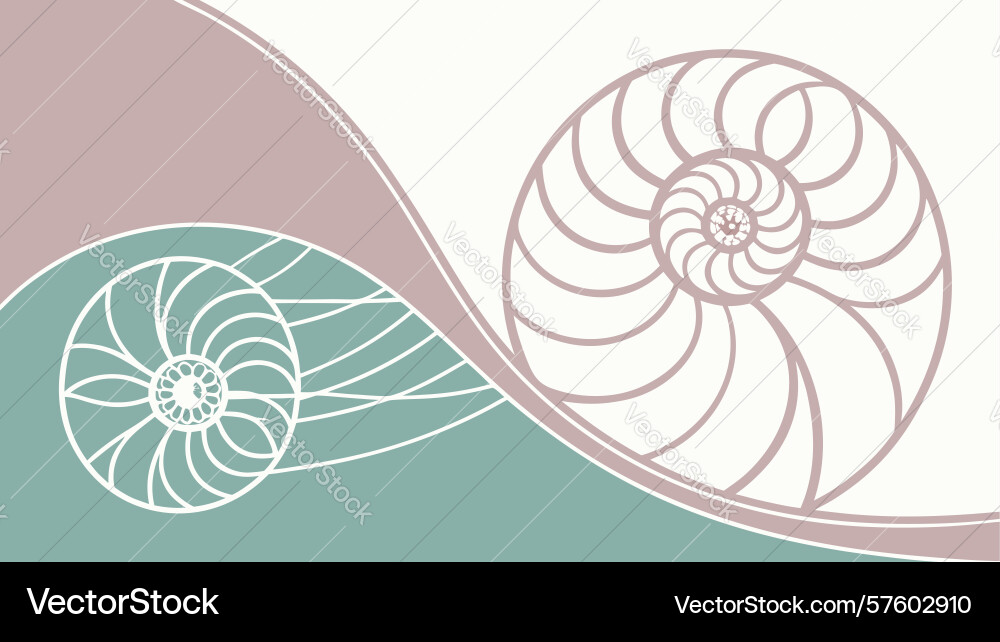 Dynamic spiral shell pattern background art vector image