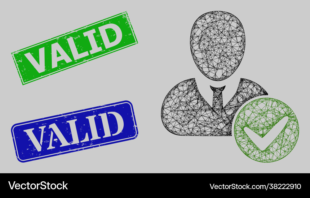 Grunge valid stamp imitations and net user Grunge valid stamp imitations and net user vector image