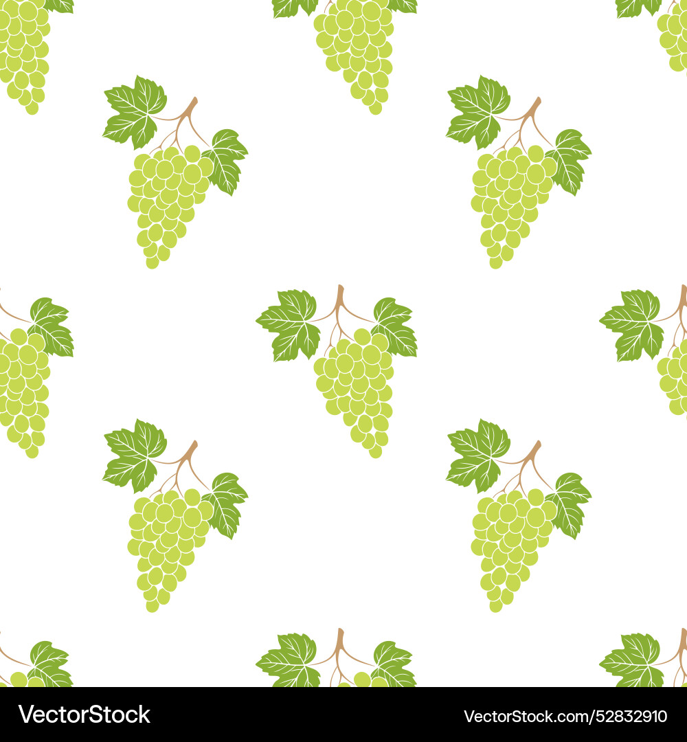 Pattern with green grape bunch on white background Vector Image