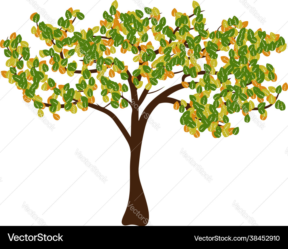 Tree with three-color leaves Vector Image