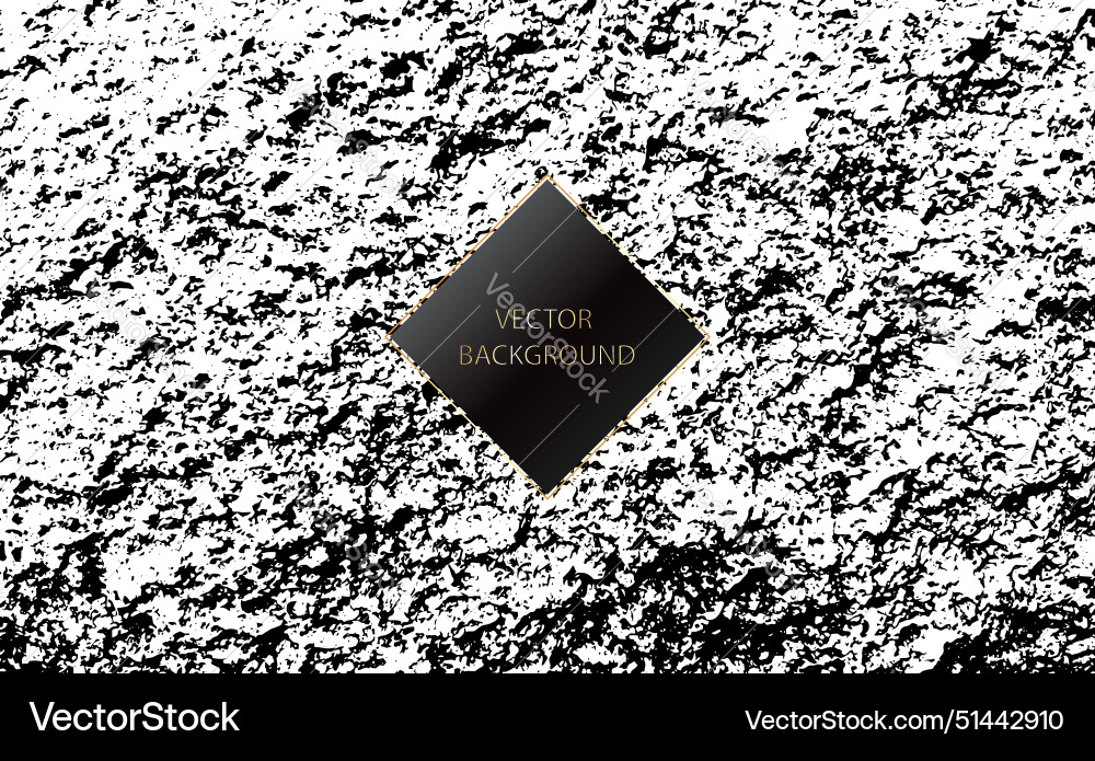 Unique abstract background black white random Vector Image
