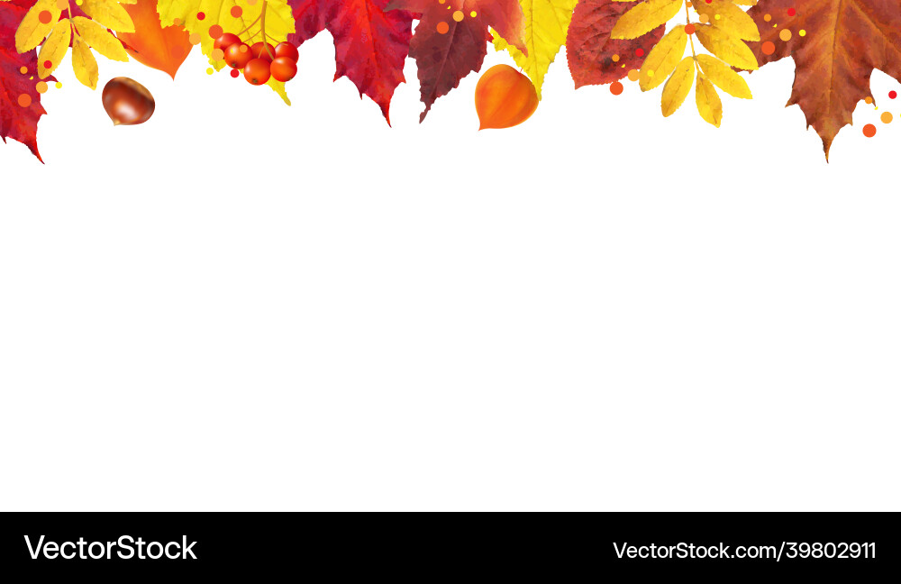 Autumn poster with borders and leaves Autumn poster with borders and leaves vector image