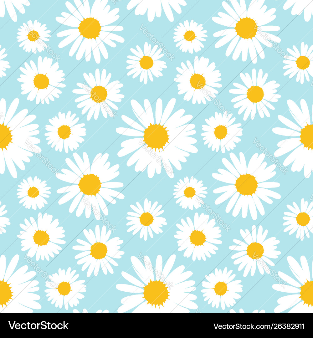 Seamless pattern with chamomile flowers Royalty Free Vector