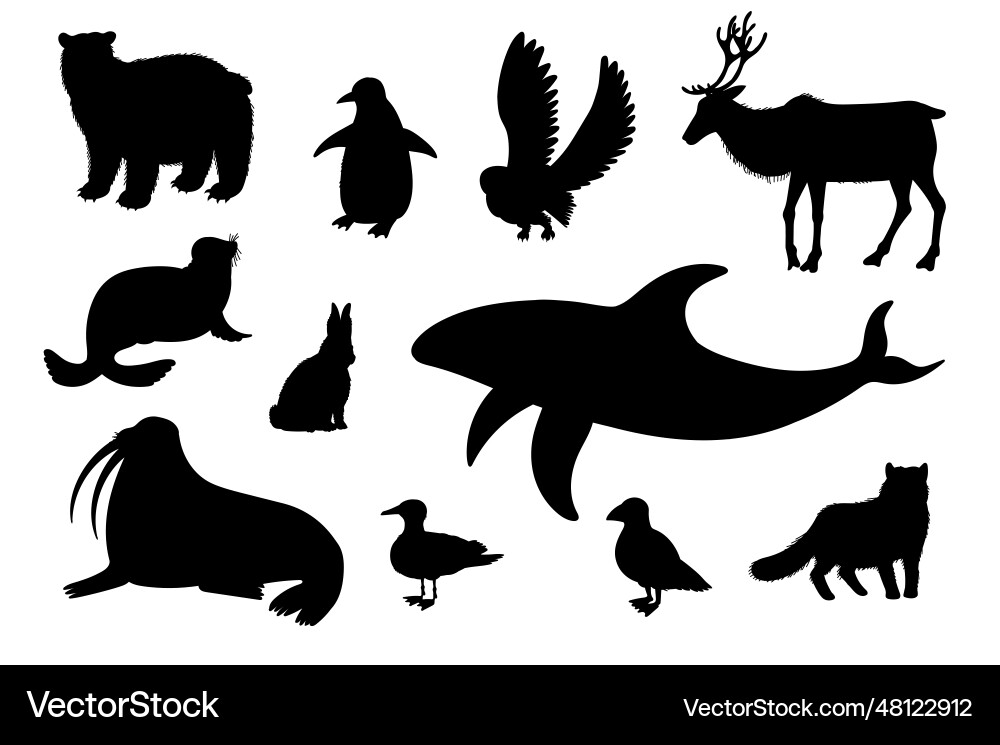 Arctic Animal Silhouettes - Black Vector Image