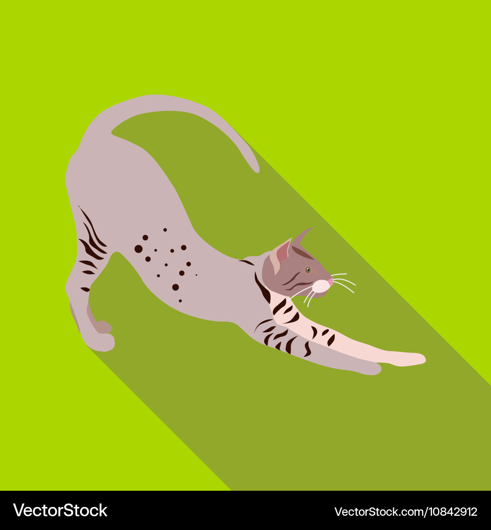 Cats of different breeds with long shadow vector image