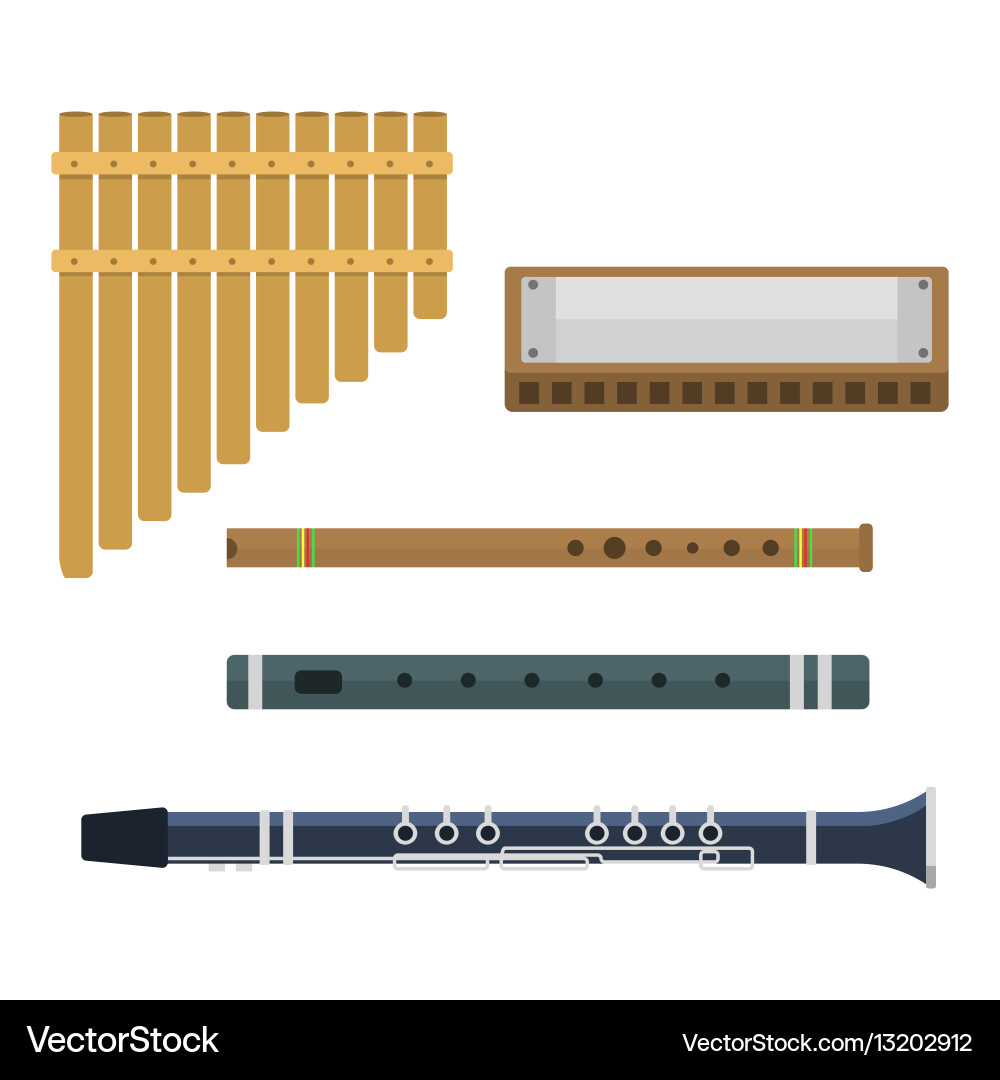 Diverse Wind Instruments vector image